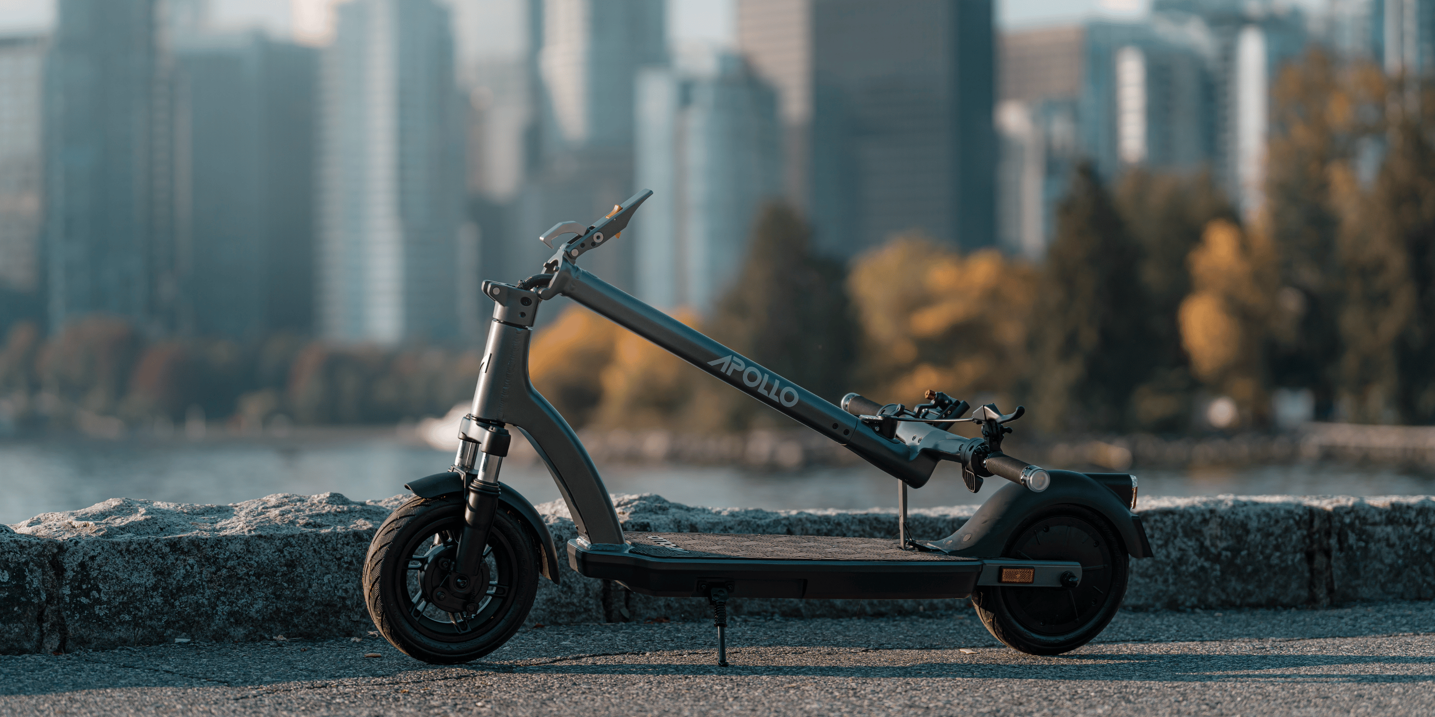 Buy a scooty sale